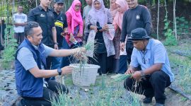 Pj Walikota Sabang, Reza Fahlevi panen bawang