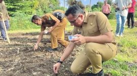 Pj Walikota Sabang, Reza Fahlevi uji coba penanaman padi Gogo di lahan petani Sabang.