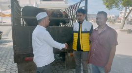 Humas DPD II Partai Golkar menyerahkan satu ekor sapi, untuk persiapan kenduri maulid akbar di Mesjid Agung Sultan Jeumpa Bireuen