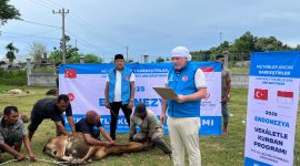 Bupati Bireuen, H Mukhlis ST menyembelih hewan qurban bantuan masyarakat Turki, Sabtu (7/6)