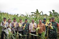 Pj. Wali Kota Sabang Andri Nourman bersama Forkopimda dan didampingi Kepala Dinas Pertanian dan Pangan Kota Sabang menghadiri kegiatan panen jagung yang berlangsung di Gampong Batee Shok Sabang, jum'at (2/5).