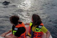 Wisatawan saat sedang menikmati Dolphin Trip di Sabang
