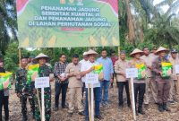 Bupati Bireuen, H Mukhlis ST bersama Forkopimda melakukan penanaman Jagung di Paya Cut, Rabu (9/7) sore