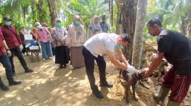 Kepala Dinas Peternakan Aceh, drh Safridhal melakukan vaksin anjing peliharaan warga untuk mencegah penyakit rabies, di Gampong Seneubok Dalam, Kecamatan Juli, Kabupaten Bireuen, Kamis (5/3) pagi.