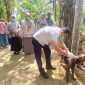 Kepala Dinas Peternakan Aceh, drh Safridhal melakukan vaksin anjing peliharaan warga untuk mencegah penyakit rabies, di Gampong Seneubok Dalam, Kecamatan Juli, Kabupaten Bireuen, Kamis (5/3) pagi.