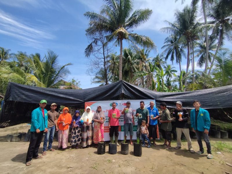 Mahasiswa Umuslim Peusangan, Kabupaten Bireuen menggunakan material tanah sedimen banjir untuk budidaya padi dan hortikultura dalam Polibag di Gampong Cot Ara, Kecamatan Kutablang.