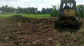 Sawah Rusak sedang akibat bencana hydro meteorologi mulai dibersihkan. Foto : Dok Prokopim.