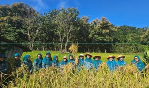 DPRK dan Pemko Sabang Satu Langkah Bangun Kemandirian Pangan Kepulauan