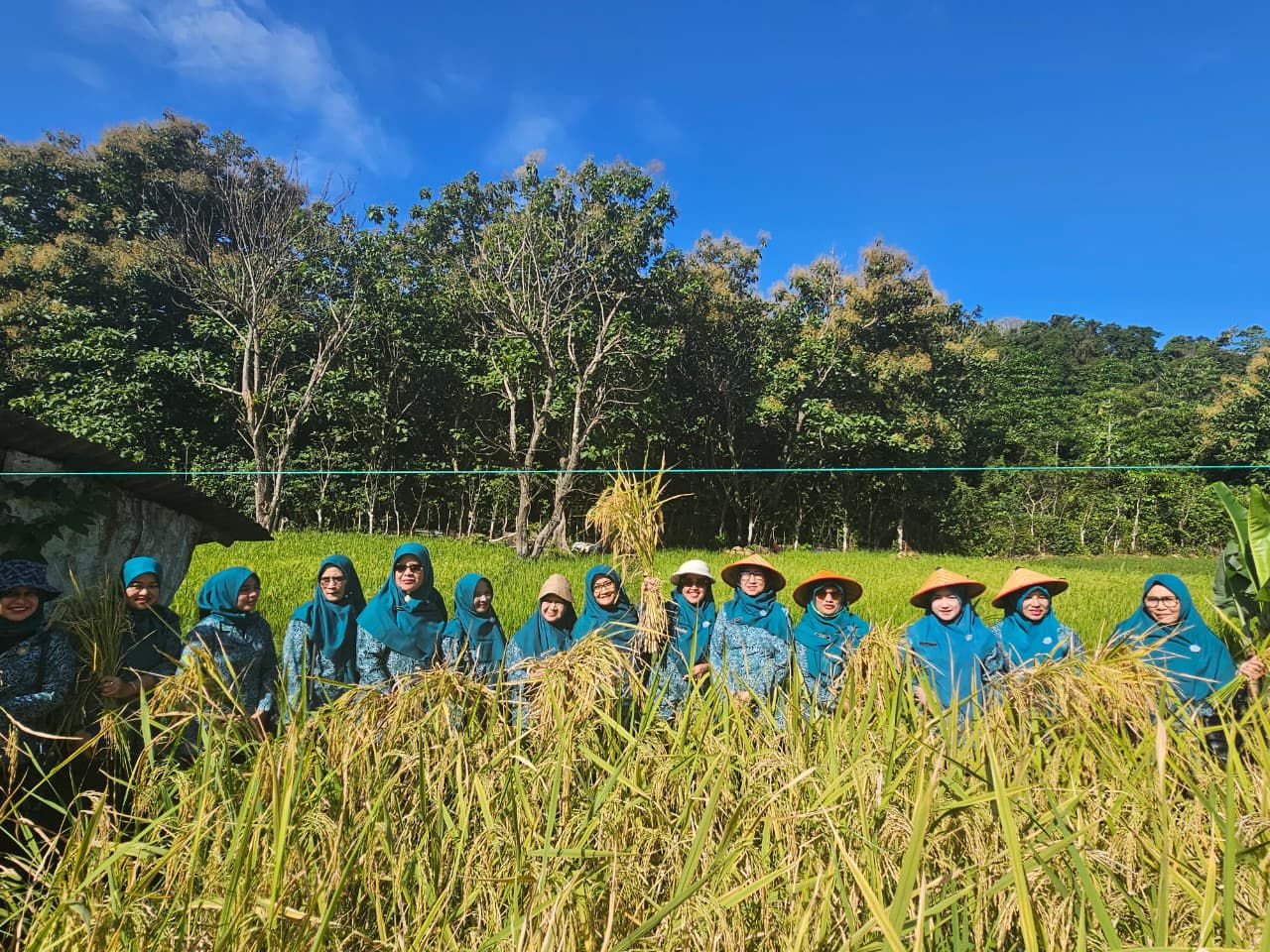Anggota Tim Penggerak PKK Kota Sabang berfoto bersama di areal persawahan saat mengikuti kegiatan panen padi sebagai bagian dari dukungan terhadap program ketahanan pangan dan pemberdayaan keluarga. Kegiatan ini menjadi wujud peran aktif PKK dalam mendorong pemanfaatan lahan produktif serta penguatan ekonomi rumah tangga di Kota Sabang.