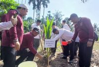 Kakanwil Kemenag Aceh, Drs Azhari MSi menanam simbolis pohon kelapa ditanah wakaf Masjid Besar Baitul Muttaqin, Gampong Uteun Gathom, Kecamatan Peusangan Selatan, Selasa (28/4) pagi.