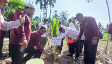 Kakanwil Kemenag Aceh, Drs Azhari MSi menanam simbolis pohon kelapa ditanah wakaf Masjid Besar Baitul Muttaqin, Gampong Uteun Gathom, Kecamatan Peusangan Selatan, Selasa (28/4) pagi.
