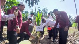 Kakanwil Kemenag Aceh, Drs Azhari MSi menanam simbolis pohon kelapa ditanah wakaf Masjid Besar Baitul Muttaqin, Gampong Uteun Gathom, Kecamatan Peusangan Selatan, Selasa (28/4) pagi.