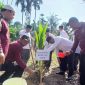 Kakanwil Kemenag Aceh, Drs Azhari MSi menanam simbolis pohon kelapa ditanah wakaf Masjid Besar Baitul Muttaqin, Gampong Uteun Gathom, Kecamatan Peusangan Selatan, Selasa (28/4) pagi.