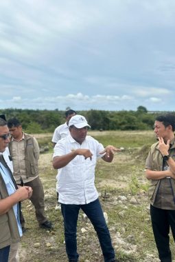 berita-rekomendasi-foto