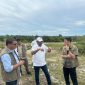Bupati Bireuen, H Mukhlis ST meninjau lokasi rencana pembangunan gudang dan pabrik pengolahan padi modern di kawasan Batee Glungku, Kecamatan Pandrah, Rabu (6/5)