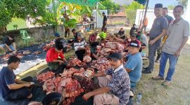 Wakil Bupati Bireuen, Ir H Razuardi MT meninjau prosesi penyembelihan hewan kurban di Meunasah Al-Ikhlas Dusun Kommes, Kamis (28/5) pagi.