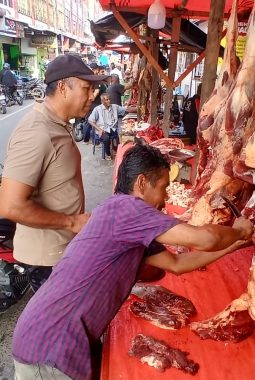 berita-rekomendasi-foto
