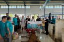 Bupati Bireuen, Ir H Mukhlis ST menerima bantuan Qurban dari Hasene Internasional Jerman