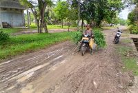 M Fadli (54) warga Gampong Paya Dua, Kecamatan Makmur melintas jalan penghubung kecamatan dengan kondisi becek, berlumpur dan licin pasca diguyur hujan, Senin (11/5).