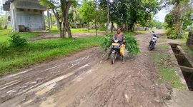 M Fadli (54) warga Gampong Paya Dua, Kecamatan Makmur melintas jalan penghubung kecamatan dengan kondisi becek, berlumpur dan licin pasca diguyur hujan, Senin (11/5).