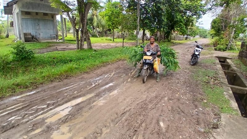 M Fadli (54) warga Gampong Paya Dua, Kecamatan Makmur melintas jalan penghubung kecamatan dengan kondisi becek, berlumpur dan licin pasca diguyur hujan, Senin (11/5).