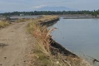 Kondisi areal tambak berada di Gampong Pante Paku, Kecamatan Jangka, Kabupaten Bireuen, Minggu (7/6) pagi.