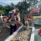 Kapolres Bireuen, AKBP Tuschad Cipta Herdani, SIK., MMed.Kom menabur bunga di makam pahlawan.