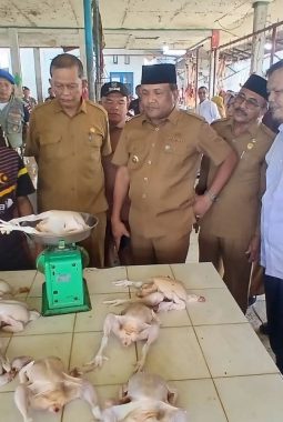 berita-rekomendasi-foto