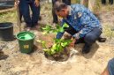 Sekdakab Bireuen, Ismunandar, MT menanam simbolis bibit Jeruk Bali Giri Matang bantuan MDMC Daerah Istimewa Yogyakarta dikompleks Dayah Raudhatul Ma'aarif, Gampong Pante Lhong, Kecamatan Peusangan, Senin (7/9).
