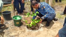 Sekdakab Bireuen, Ismunandar, MT menanam simbolis bibit Jeruk Bali Giri Matang bantuan MDMC Daerah Istimewa Yogyakarta dikompleks Dayah Raudhatul Ma'aarif, Gampong Pante Lhong, Kecamatan Peusangan, Senin (7/9).