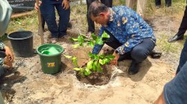 Sekdakab Bireuen, Ismunandar, MT menanam simbolis bibit Jeruk Bali Giri Matang bantuan MDMC Daerah Istimewa Yogyakarta dikompleks Dayah Raudhatul Ma'aarif, Gampong Pante Lhong, Kecamatan Peusangan, Senin (7/9).