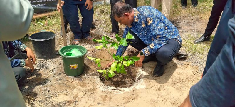 Sekdakab Bireuen, Ismunandar, MT menanam simbolis bibit Jeruk Bali Giri Matang bantuan MDMC Daerah Istimewa Yogyakarta dikompleks Dayah Raudhatul Ma'aarif, Gampong Pante Lhong, Kecamatan Peusangan, Senin (7/9).