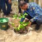Sekdakab Bireuen, Ismunandar, MT menanam simbolis bibit Jeruk Bali Giri Matang bantuan MDMC Daerah Istimewa Yogyakarta dikompleks Dayah Raudhatul Ma'aarif, Gampong Pante Lhong, Kecamatan Peusangan, Senin (7/9).